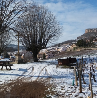Fermeture Fêtes de Fin d'Année