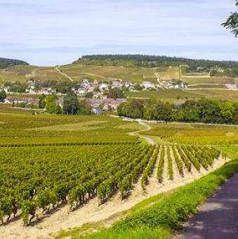 5 Nouveaux Domaines de Bourgogne